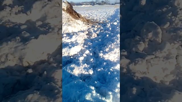 Посмотрите Пожайлуста кучи навоза и умершие животные смотреть онлайн