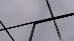 Вольер для голубей из профилей.Бюджетный вариант.