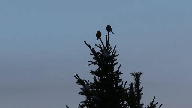 № 1952 16. 01. 2022 Холодно смотреть онлайн