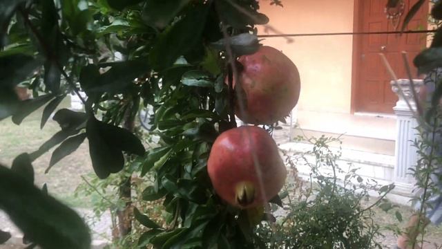 Турция. Морской город Карамюрсель. Нетуристическая Турция смотреть онлайн