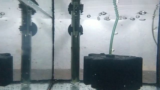 подмена воды в аквариуме, замена аквариума. кормление аквариумных рыбок. смотреть онлайн