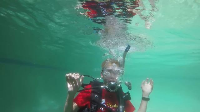 WILDsides: How to Get SCUBA Certified смотреть онлайн