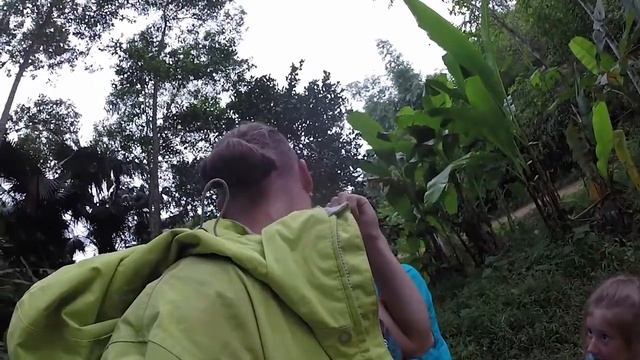 Утро в джунглях Вьетнама. Укус муравья, прожорливые термиты - Cutaways. Аnt, termites, morning. смотреть онлайн