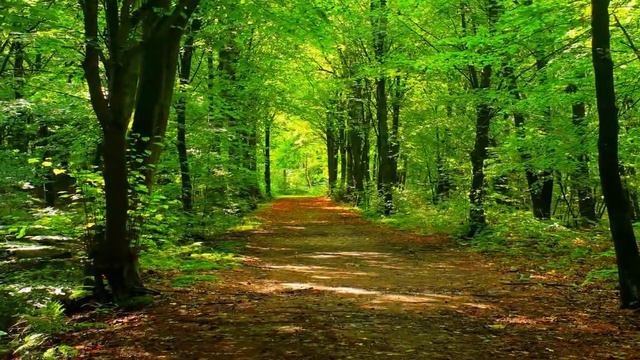 Boost Your Courage; 2-Minute Micro-Meditation смотреть онлайн