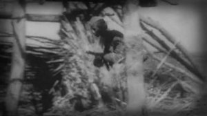 Полюшко - поле