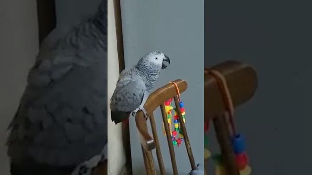 песенка в тему..,