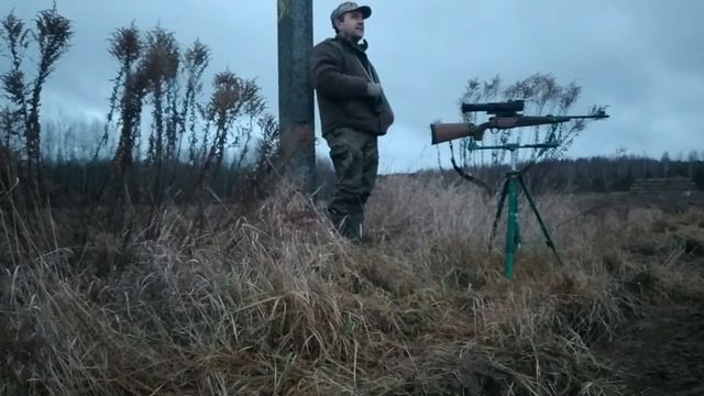 Охота на лисицу с манком. Добыл лисицу! смотреть онлайн