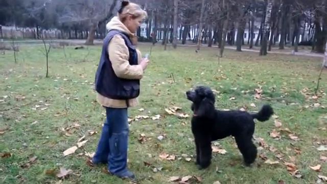 Видеосоревнования "В заказного", 2015 год смотреть онлайн