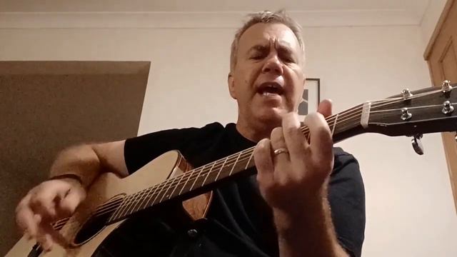 Shut Up and Dance - Walk The Moon (acoustic guitar cover) смотреть онлайн