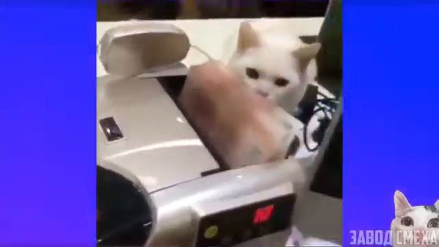 Угар пол часа смотреть онлайн