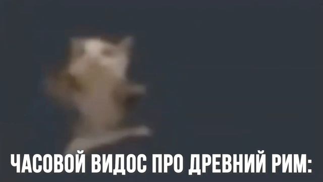 schnappi schnappi schnappi schnap смотреть онлайн