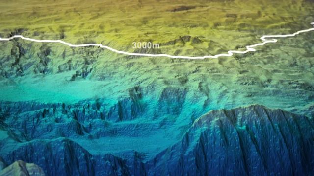 Мозаики Вдохновения