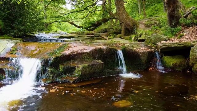 Звуки природы - Успокаивающие звуки ручьев для спокойного засыпания - Успокойте разум, помедитируйт смотреть онлайн