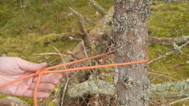 ТОП ПОЛЕЗНЫХ УЗЛОВ | Как растянуть тент #поход смотреть онлайн