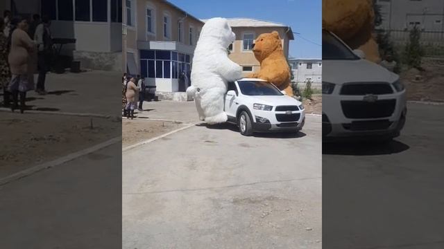 Turtkul#tortkol ? N_1 MEDVED I PANDA ? Bahaybat ayiq ? ? palvonlar toy ? Bazim, tug'ilgan kun(10) смотреть онлайн