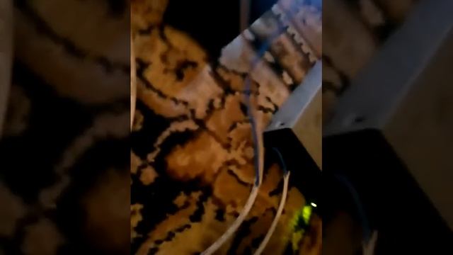 Инвертор 12 в 220 вольт