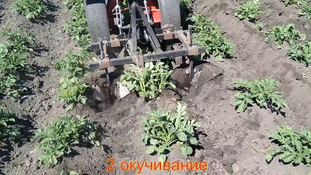 сезон 2018 за 20 минут смотреть онлайн