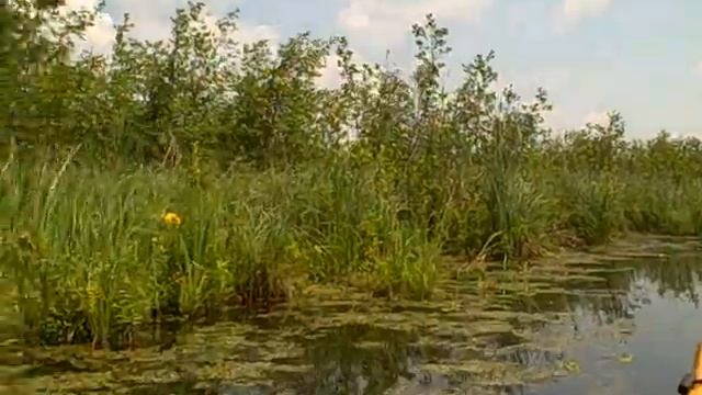 Kayak 3 смотреть онлайн