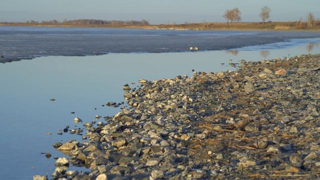 April sunset / Sigma fp CDNG 12 bit / Sigma 100-400mm lens / 4K cinematic смотреть онлайн