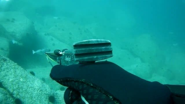 бухта Окуневая Приморский край(бетта версия) подводная охота смотреть онлайн