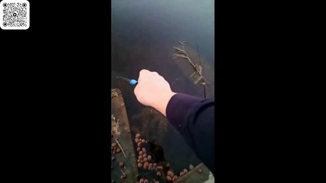 Необычные случаи на рыбалке