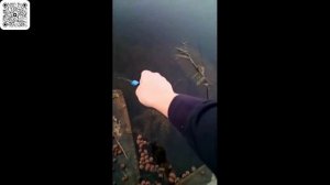 Необычные случаи на рыбалке