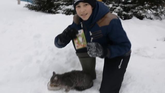 ДЕРЕВЕНСКАЯ РЕКЛАМА: "ЭНЕРГИЯ КОТА БОРИСА" смотреть онлайн