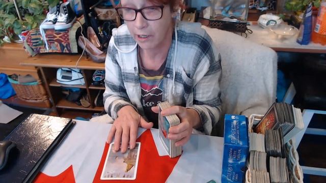 ?coffee collative reading and responding to my trolls comments #tarot ,#oracle ,#astrology смотреть онлайн