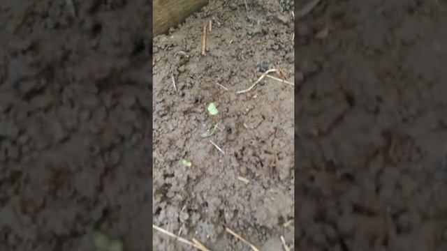 Строительная Зона