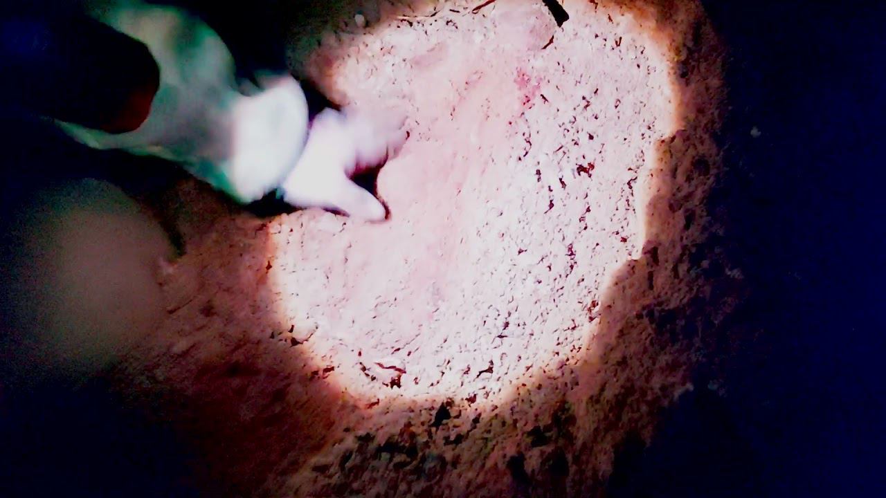 Землянка Мамкиного Выживальщика (на месте старой, возможно финской землянки) #землянка #коп смотреть онлайн