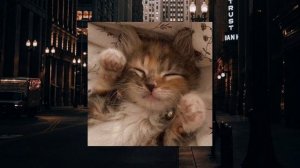 Руслан Утюг - НИКОГДА. 1 час