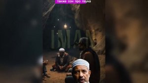 Сон про паука #ислам #сон #сны #паук #сныпокорану