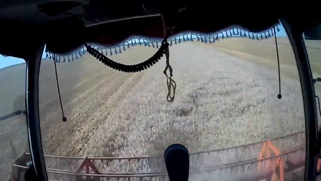 Claas Tucano 440 + C600 |CabView| Harvest/Ernte/Żniwa - 2018 смотреть онлайн