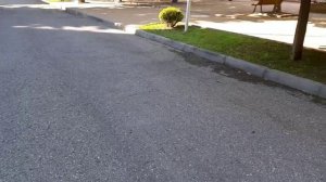 Обзор пансионата Приморский в п. Дивноморское