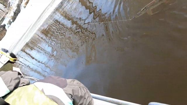 Весенний сезон закрыт / все будем сидеть дома смотреть онлайн