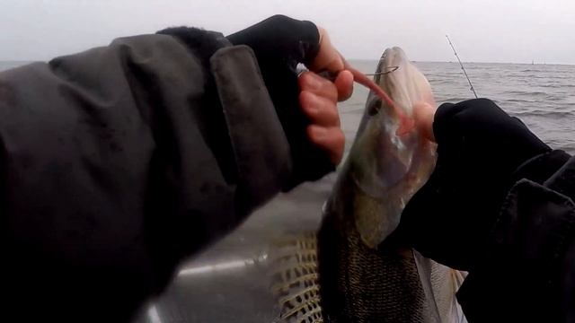 А так бывает? Раздача ТРОФЕЙНОГО СУДАКА на реке! Вот это рыбалка на спиннинг смотреть онлайн