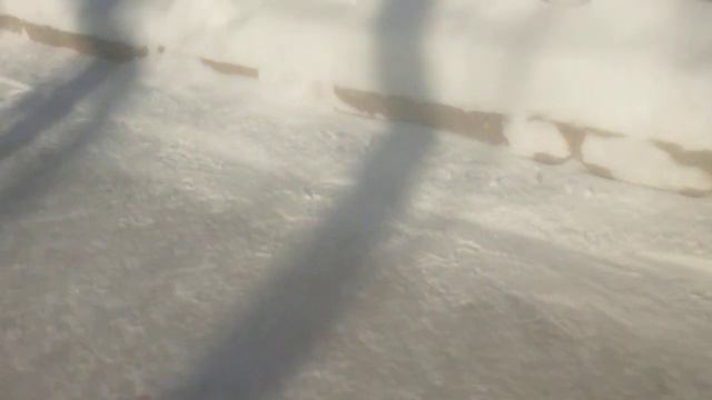 горка в Новосибирском зоопарке 7 февраля 2024 г. смотреть онлайн