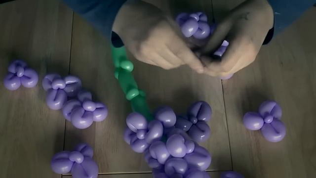 Lilac Of Balloons Twisting