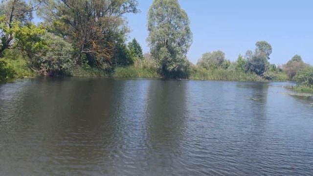 Выходные на природе. Отдых с палаткой. смотреть онлайн