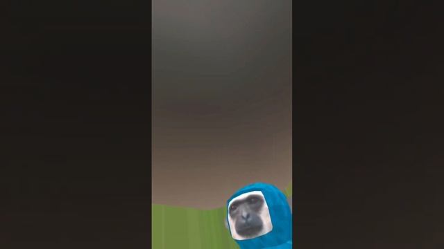 First time playing monkey mischief смотреть онлайн