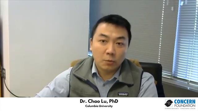 Dr. Chao Lu, PhD Columbia University discusses his new project смотреть онлайн