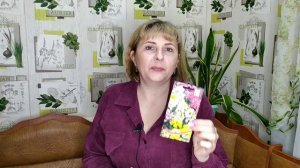 Однолетники. Подходящие для вазонов!  Что я посажу в сезоне 2023?