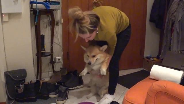 VLOG: Проникла в инфекционное отделение больницы/ Все ради примирения с мужем смотреть онлайн