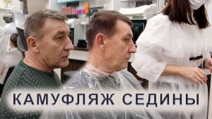 Как правильно сделать камуфляж седины мужчине