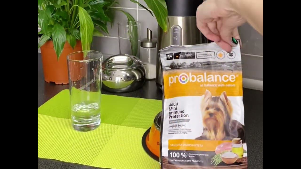 Корм для миниатюрных собак PROBALANCE IMMUNO MINI смотреть онлайн