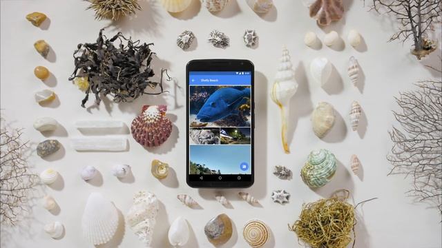 Программа Google Local Guides (Местные Эксперты) смотреть онлайн