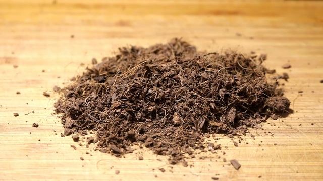 Влажность в террариуме. Субстраты и водоемы. смотреть онлайн