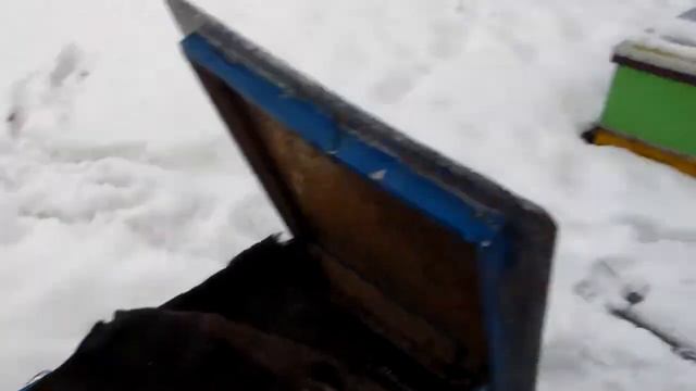 "Охота" на мышей на пасеке. смотреть онлайн