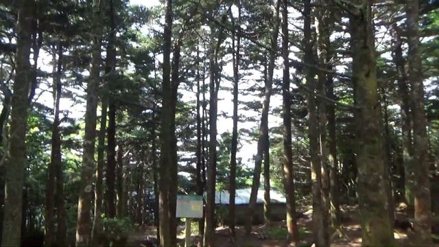 Solo Hike Up Grandfather Mountain - "Hole Lotta Doughnuts" Advertisement At The End смотреть онлайн