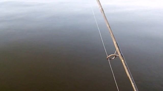 Рыбалка. Ловля воблы. Астрахань, вобла 2017